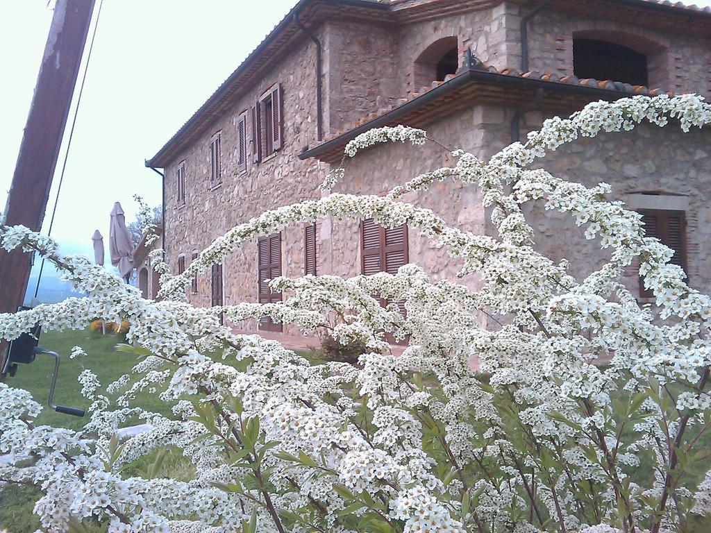 Agriturismo Il Poggiolo Montemerano Eksteriør billede