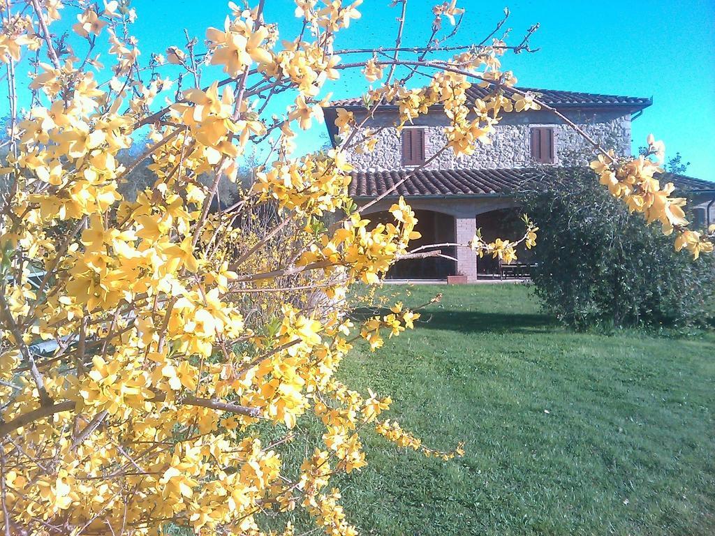 Agriturismo Il Poggiolo Montemerano Eksteriør billede