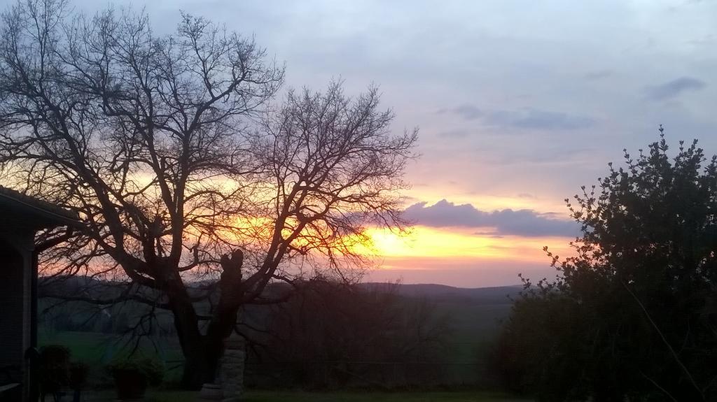 Agriturismo Il Poggiolo Montemerano Eksteriør billede